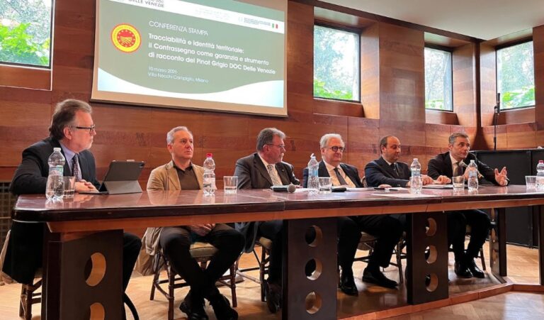 Pinot Grigio DOC delle Venezie