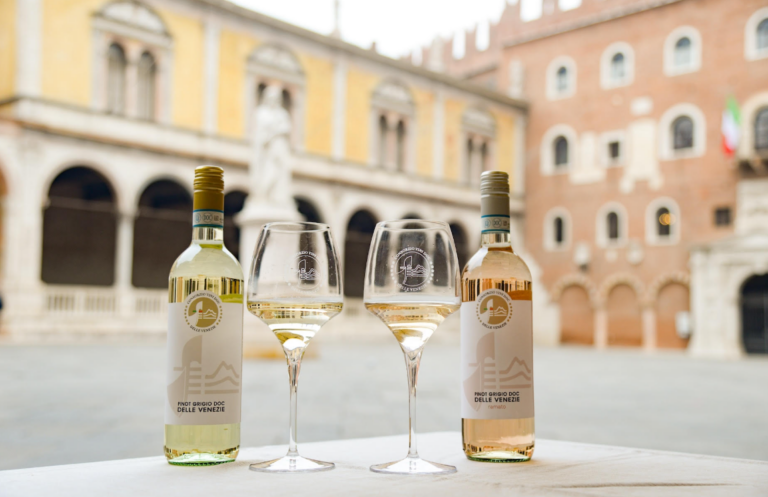 doc delle venezie pinot grigio